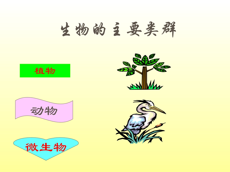 小学科学三年级上册《寻找有生命的物体》课件_第2页