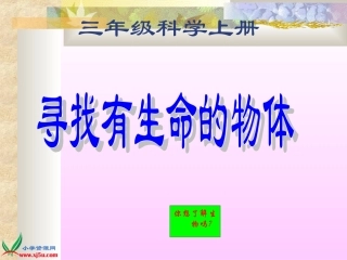 小学科学三年级上册《寻找有生命的物体》课件