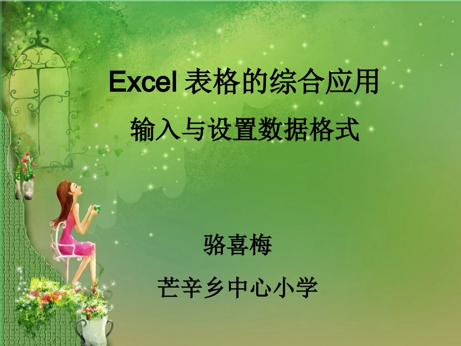 Excel表格的综合应用输入与设置数据格式_第1页