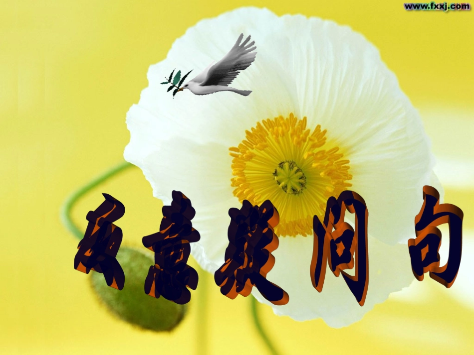 初中英语反义疑问句归纳_第1页