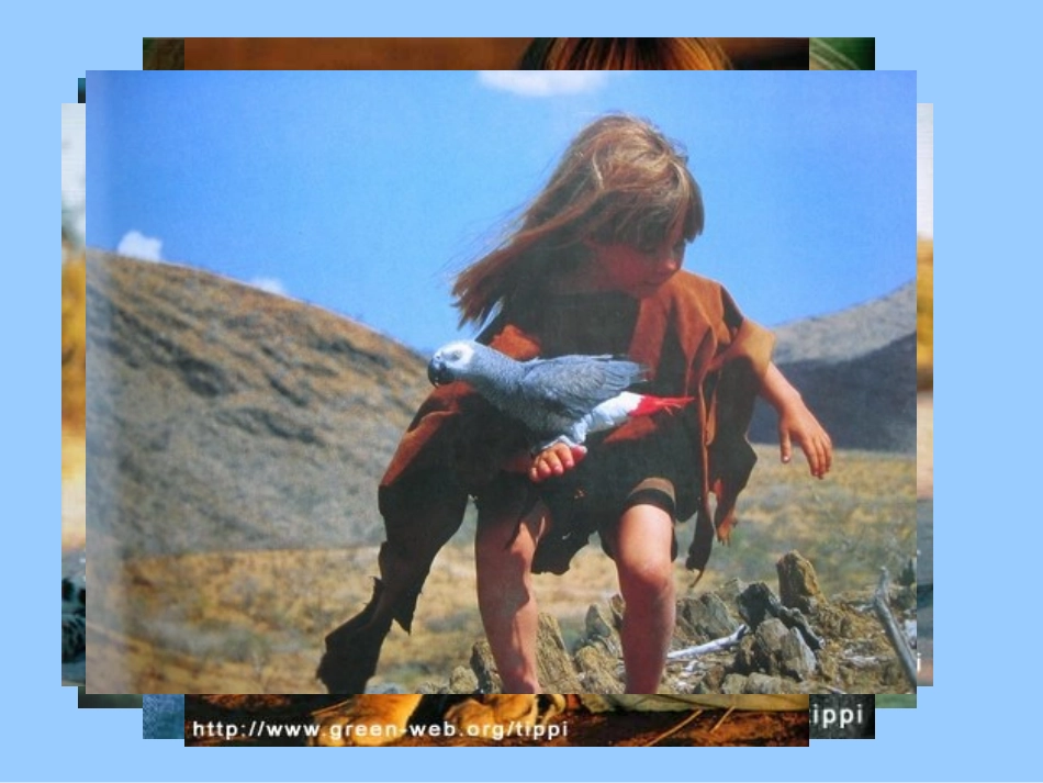 人教版二年级上册识字七_第1页