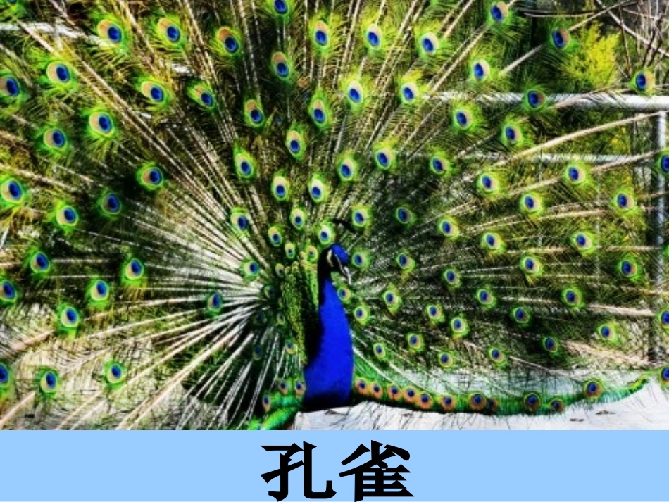 人教版二年级上册识字七_第3页