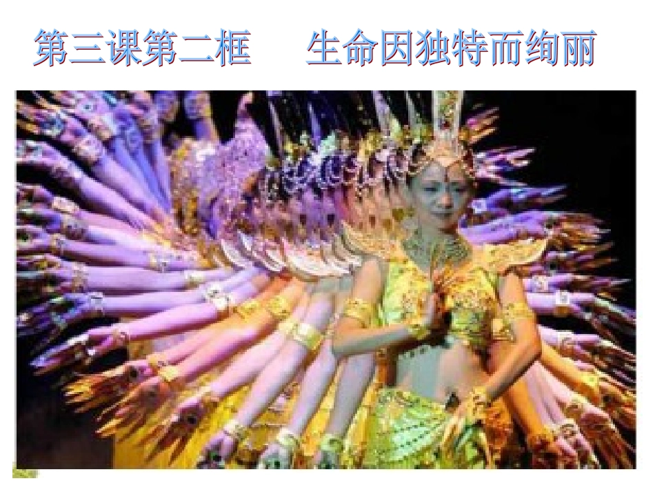 我用好第二框《生命因独特而绚丽》PPT_第1页