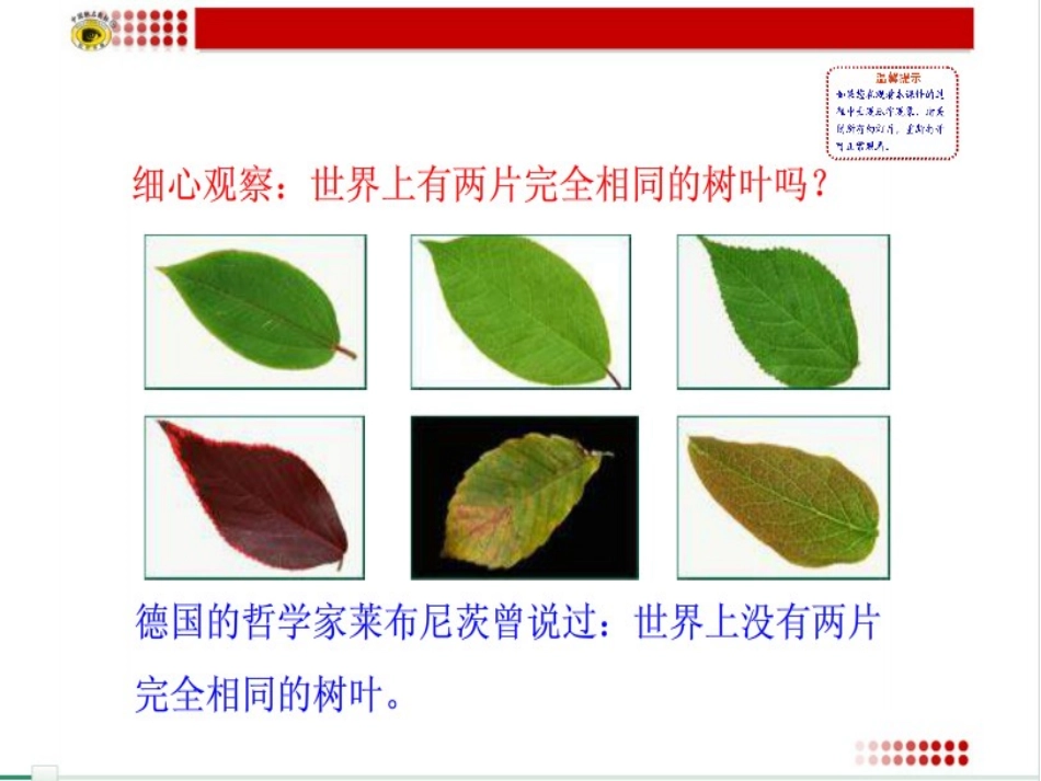 我用好第二框《生命因独特而绚丽》PPT_第2页