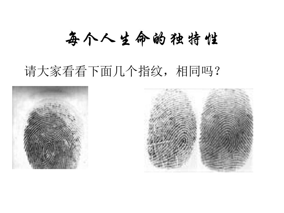 我用好第二框《生命因独特而绚丽》PPT_第3页