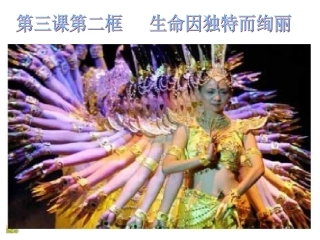 我用好第二框《生命因独特而绚丽》PPT