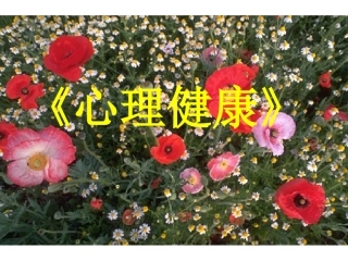 小学心理健康教育课件