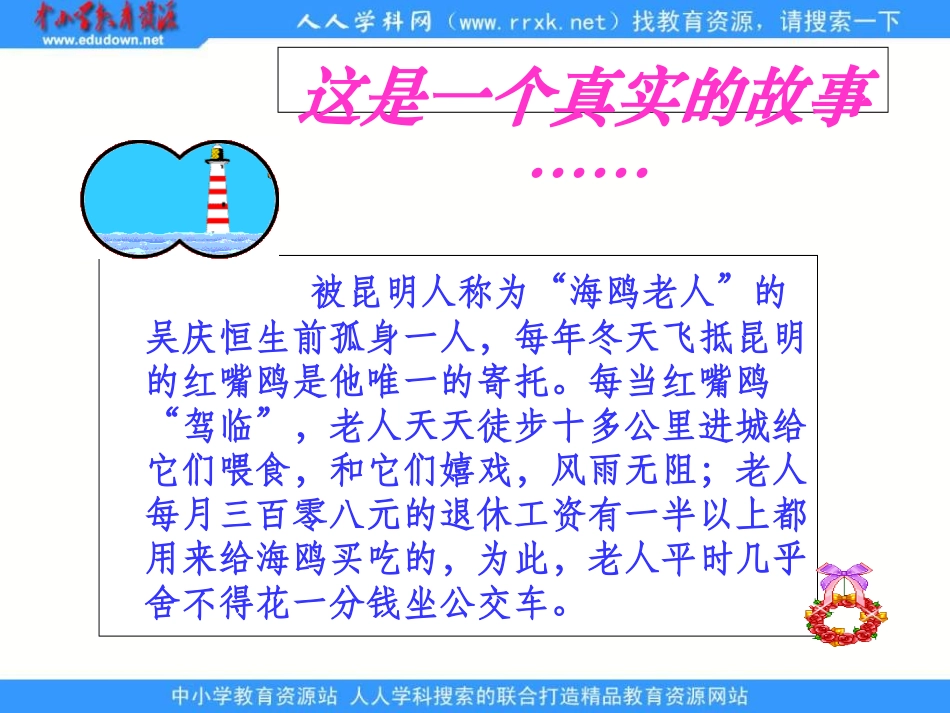 六年级上册《老人与海鸥》PPT课件1_第2页
