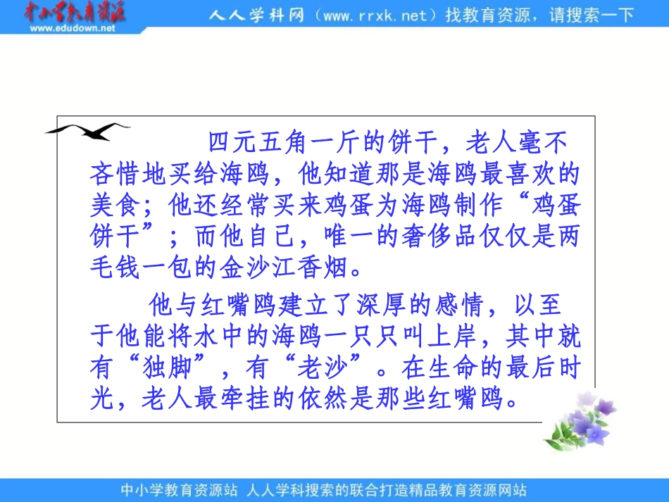 六年级上册《老人与海鸥》PPT课件1_第3页