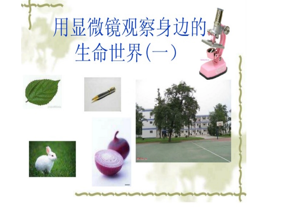 用显微镜观察身边的生命世界课件_第1页