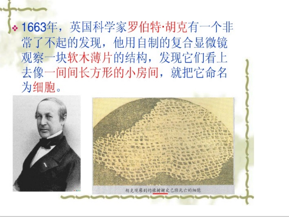 用显微镜观察身边的生命世界课件_第2页