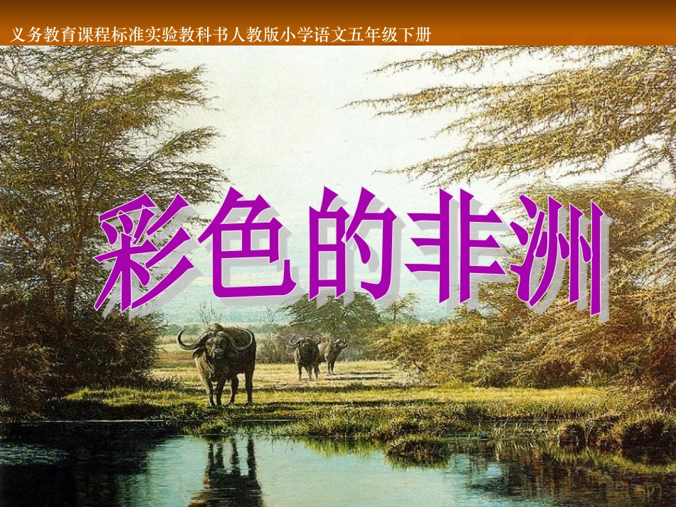《彩色的非洲》课件_第1页