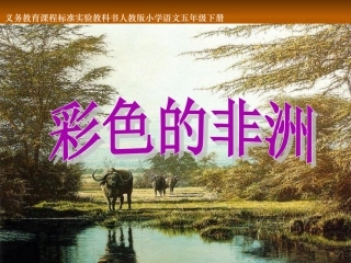 《彩色的非洲》课件