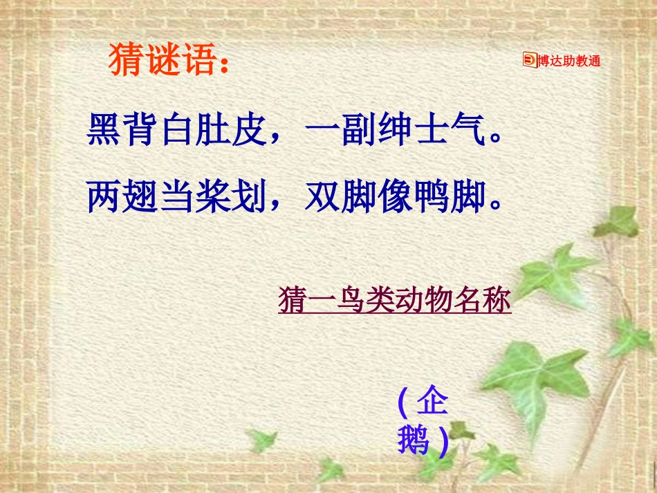 《登上企鹅岛》课件_第1页