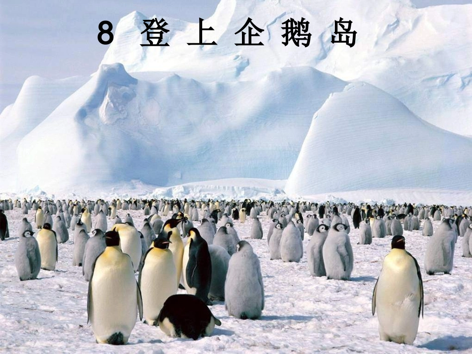 《登上企鹅岛》课件_第2页