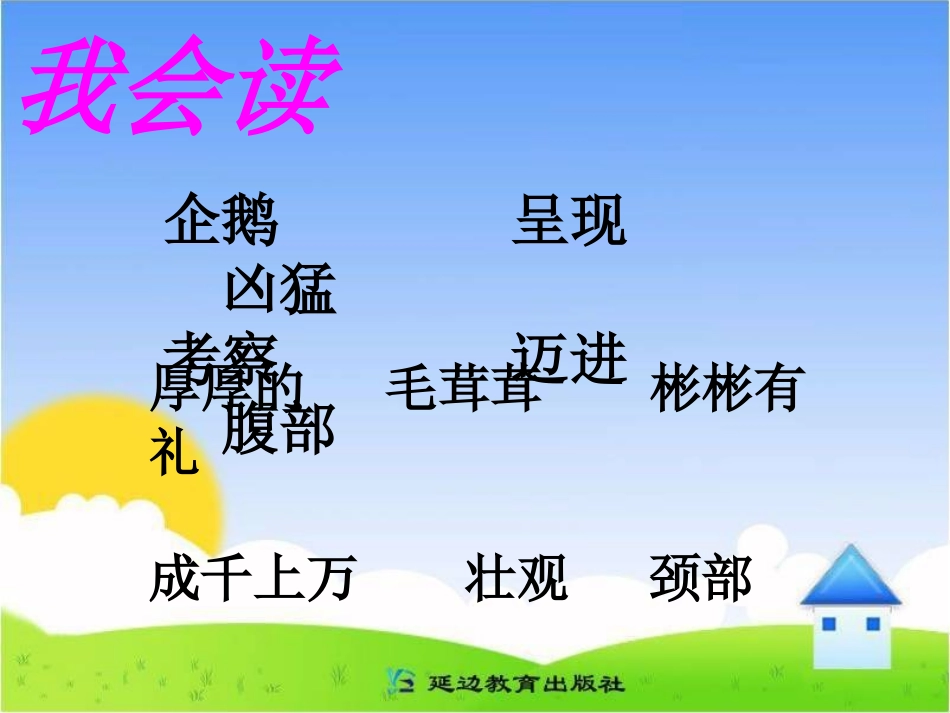 《登上企鹅岛》课件_第3页