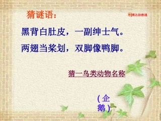 《登上企鹅岛》课件