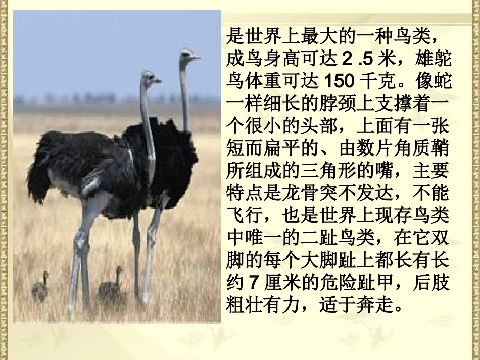 倍数为小数的实际问题_第2页