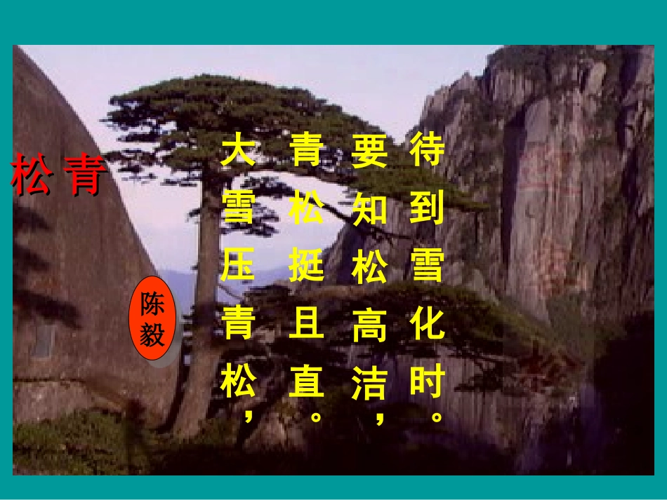 《青松》教学课件_第2页