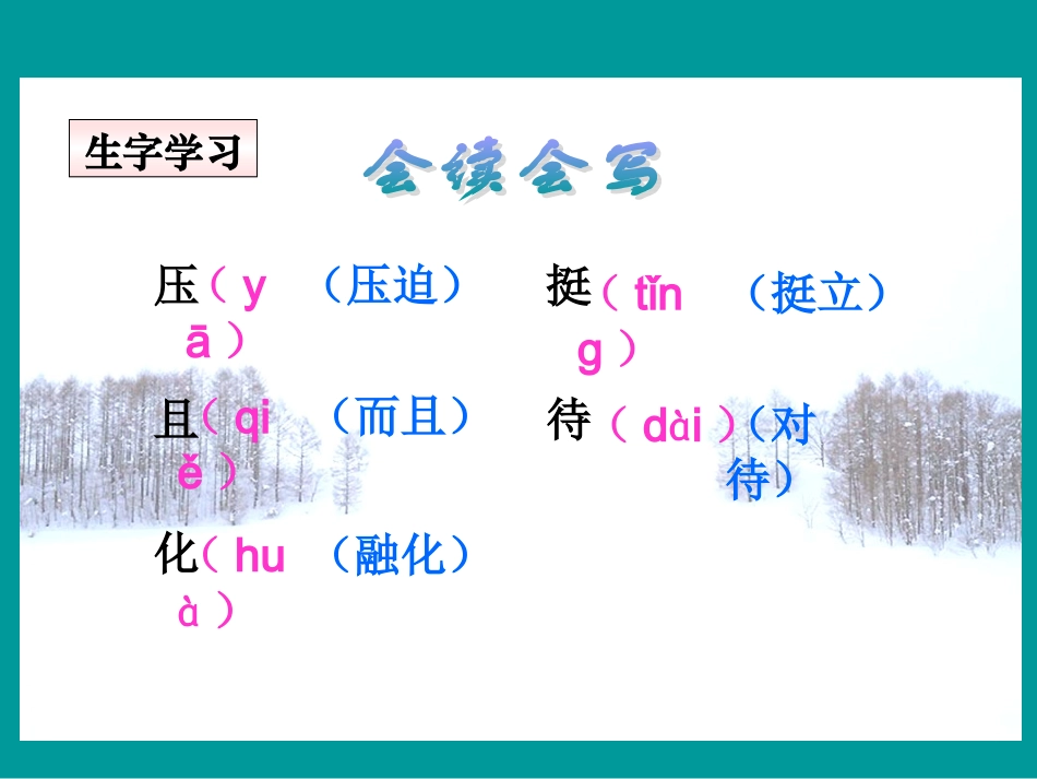《青松》教学课件_第3页
