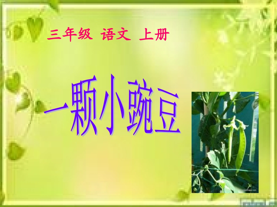 一颗小豌豆[1]6_第2页