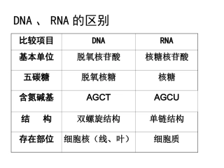 细胞中的糖类和脂质