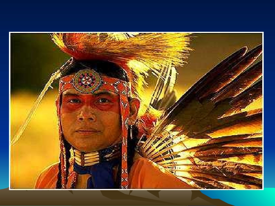 六年级语文这片土地是神圣的_第2页