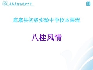 八桂风情（巴马）