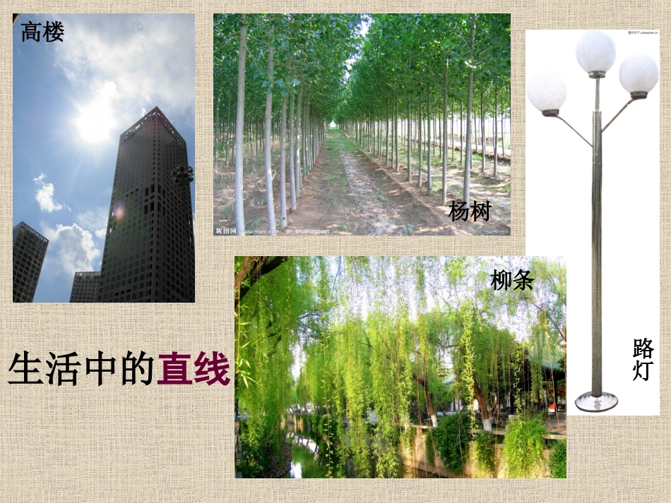 会变的线条王若彤_第3页