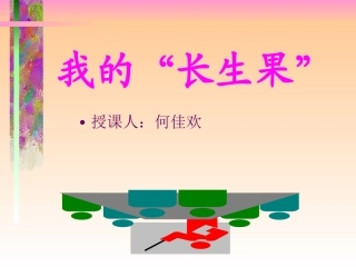 我的“长生果”1