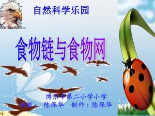 五上一5食物链与食物网陈保华 (2)