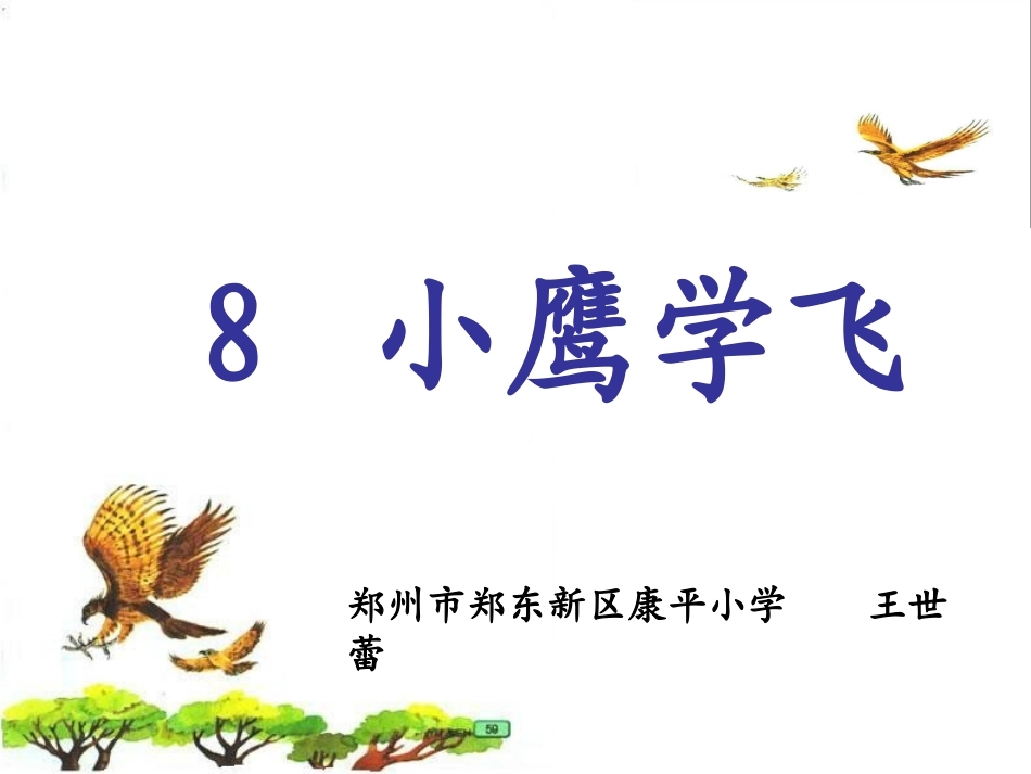 小鹰学飞____课件_第2页