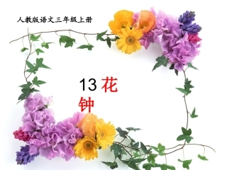 三年级语文13《花钟》PPT
