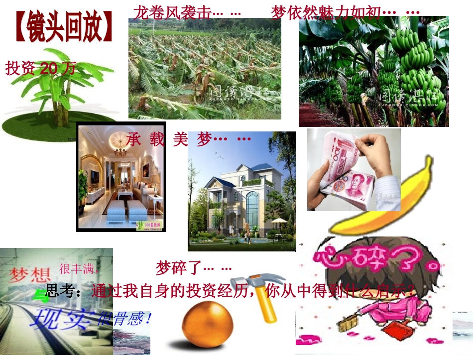 示范课：投资理财的选择_第2页