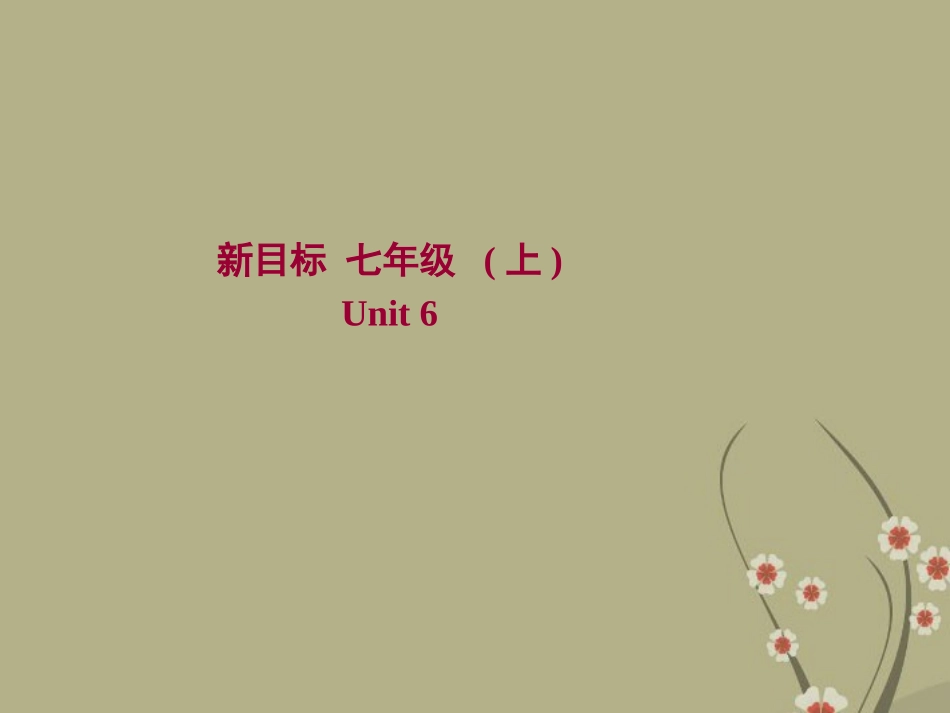 七年级英语上册Unit6DoyoulikebananasSectionB2_第1页