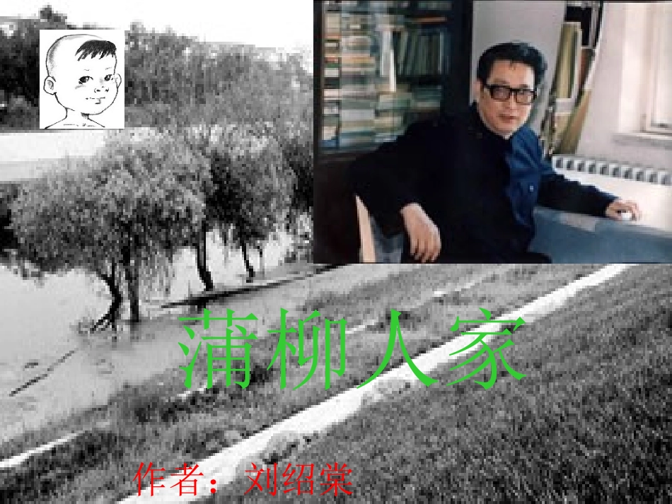 九年级《蒲柳人家》课件2_第1页