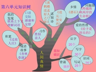 人教版小学语文四年级上册第六单元知识树