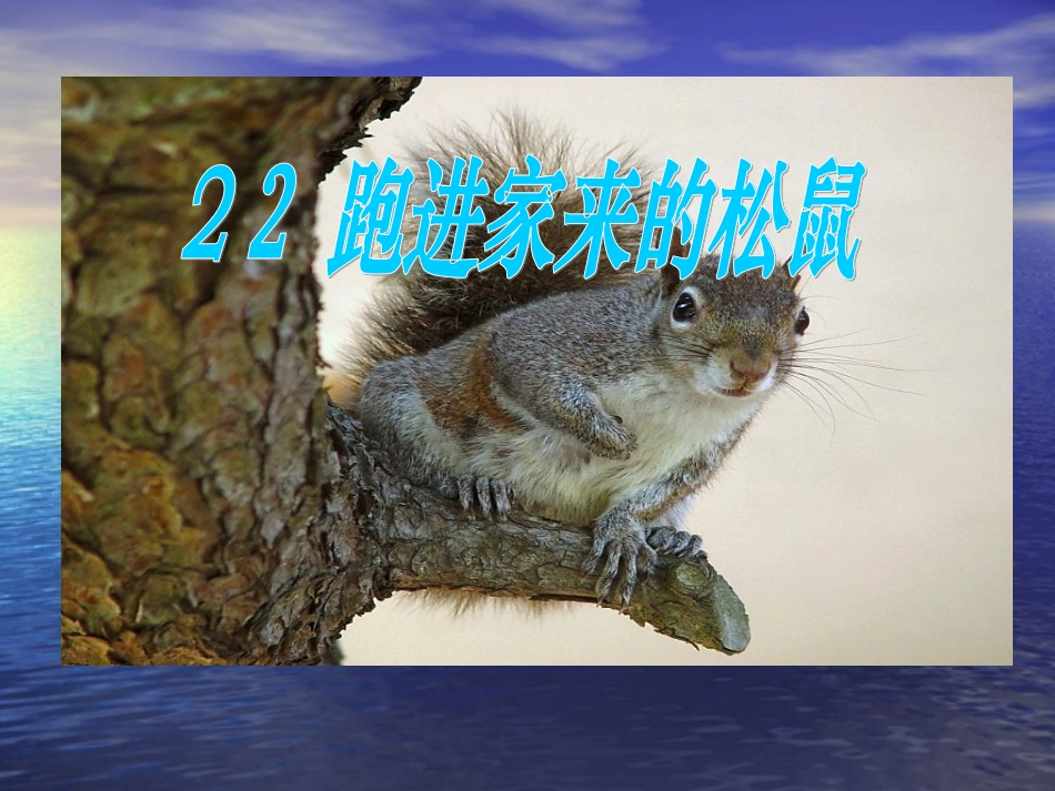 跑进家来的松鼠1_第1页