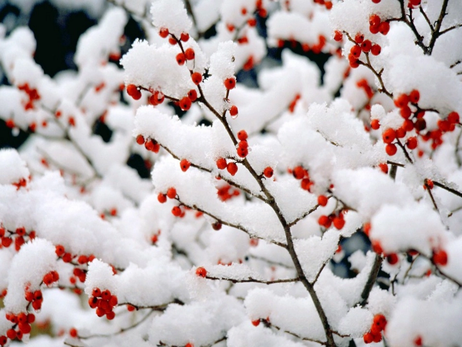 升华和凝华课件 (2)_第2页