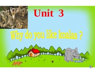 Unit_3_Why_do_you_like_koalas？公开课的课件