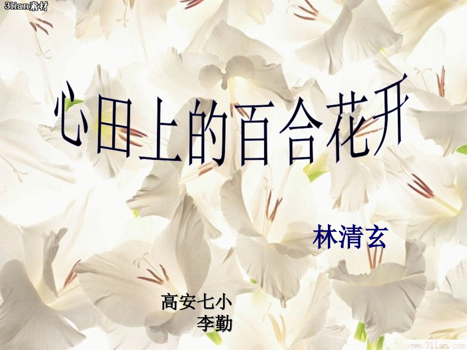 心田上的百合花开_第2页