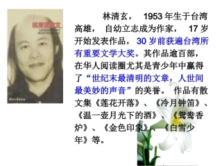 心田上的百合花开