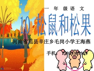 松鼠和松果 (4)