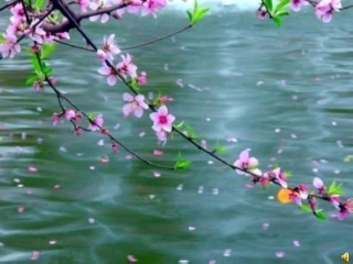 珍惜时间主题班会