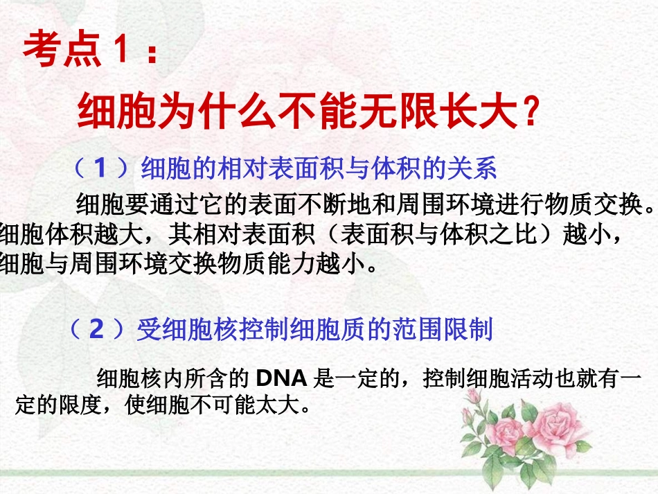 细胞增殖一轮复习上课_第2页