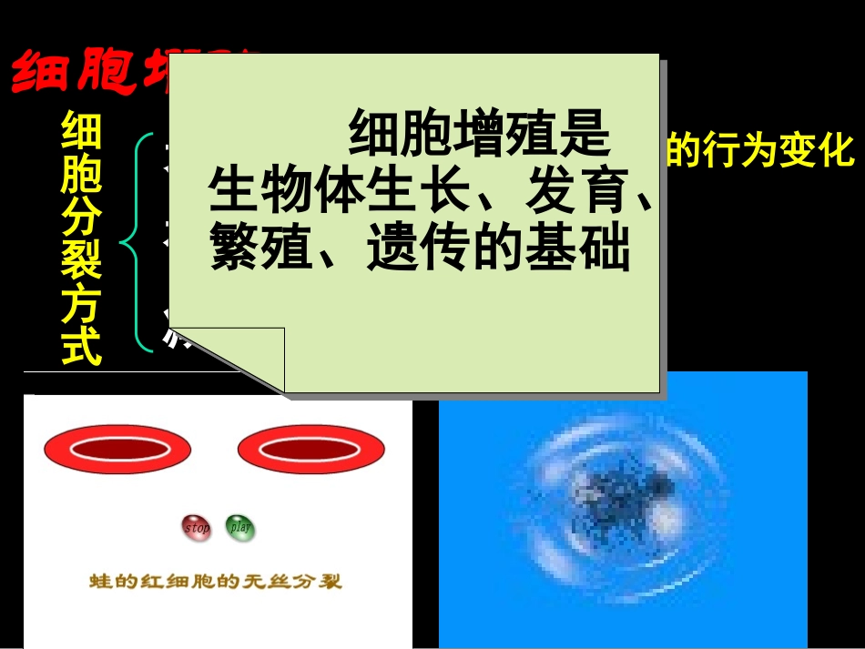 细胞增殖一轮复习上课_第3页