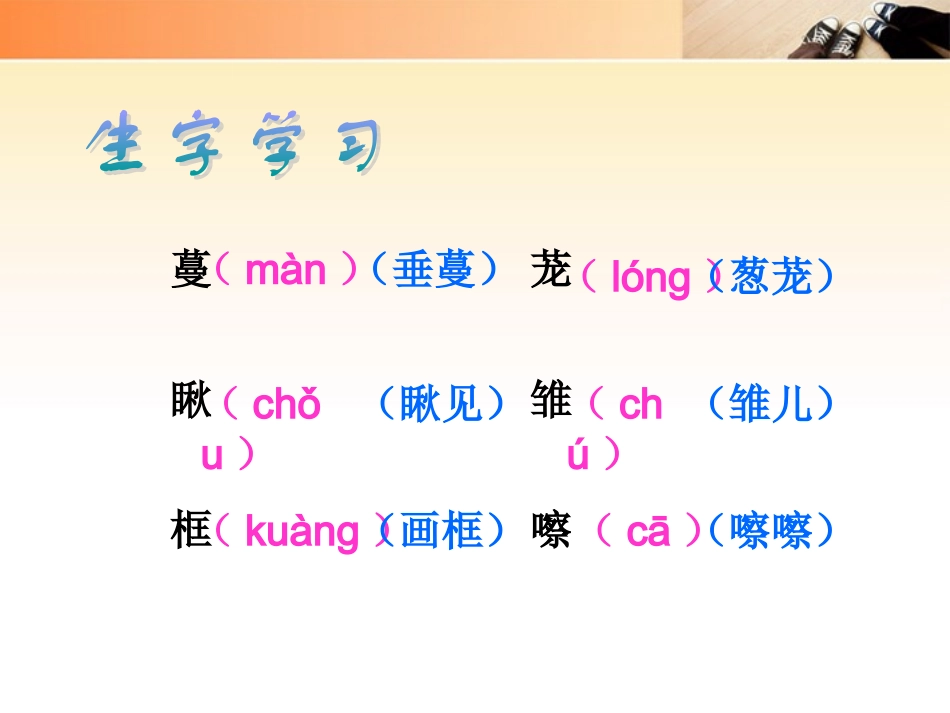 五年级语文上册_珍珠鸟课件_人教新课标版[1]_第3页