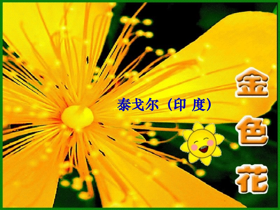 《散文诗两首》(《金色花》《荷叶__母亲》)公开课件_第3页