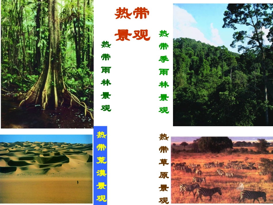 世界主要气候类型(全2课时)_张超_第3页