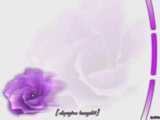 细菌和真菌在自然界中的作用